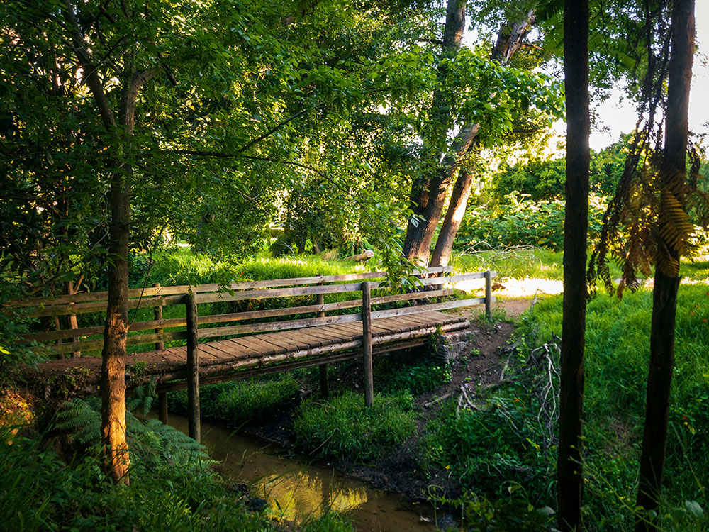 An image of a bridge in Norfolk.