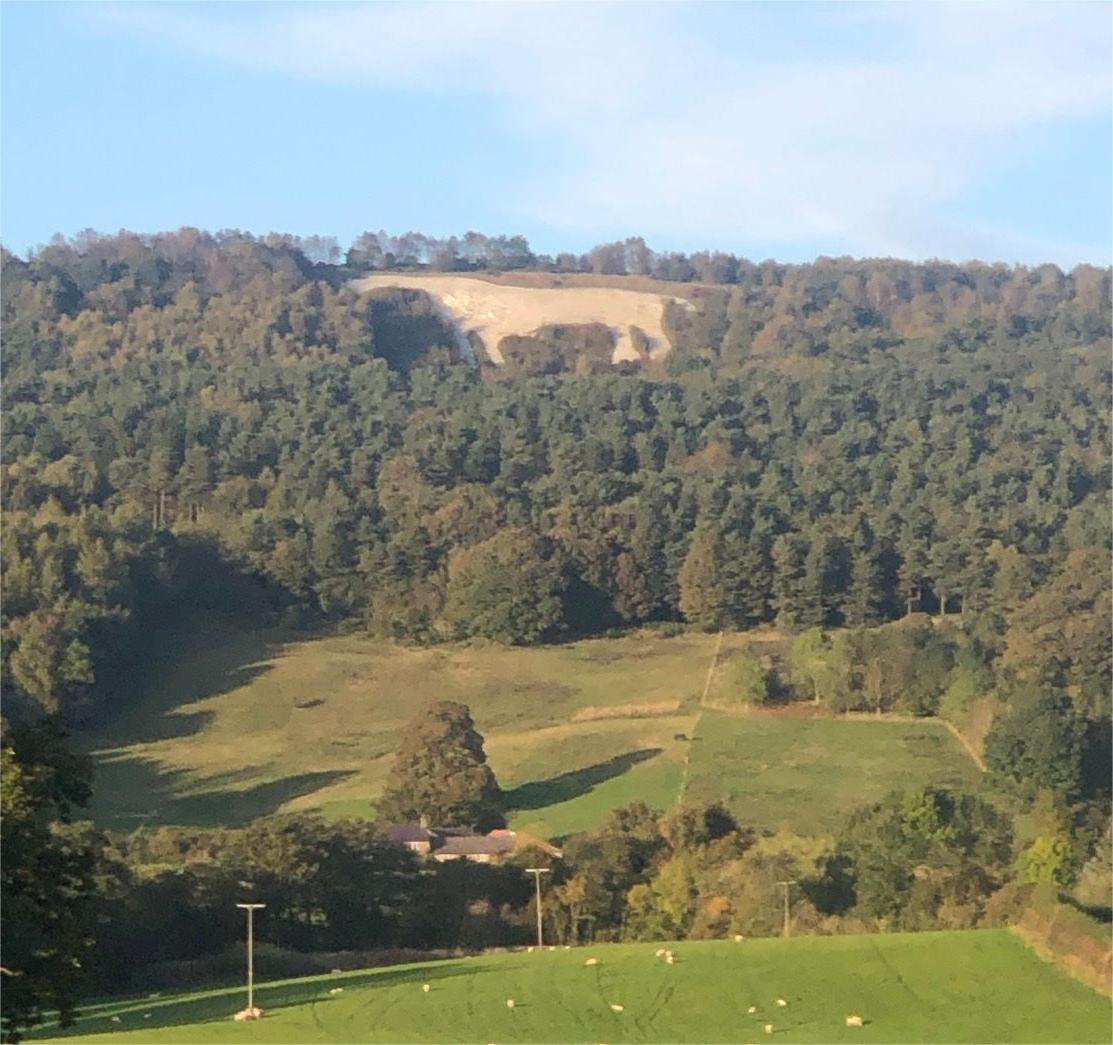 An image of a farmers field in North Yorkshire.