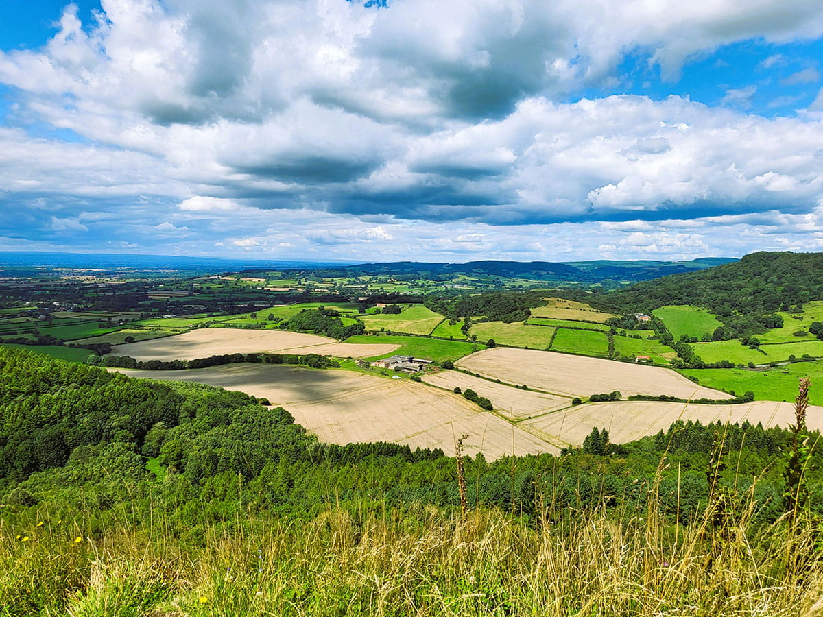 An image of farmers fields.