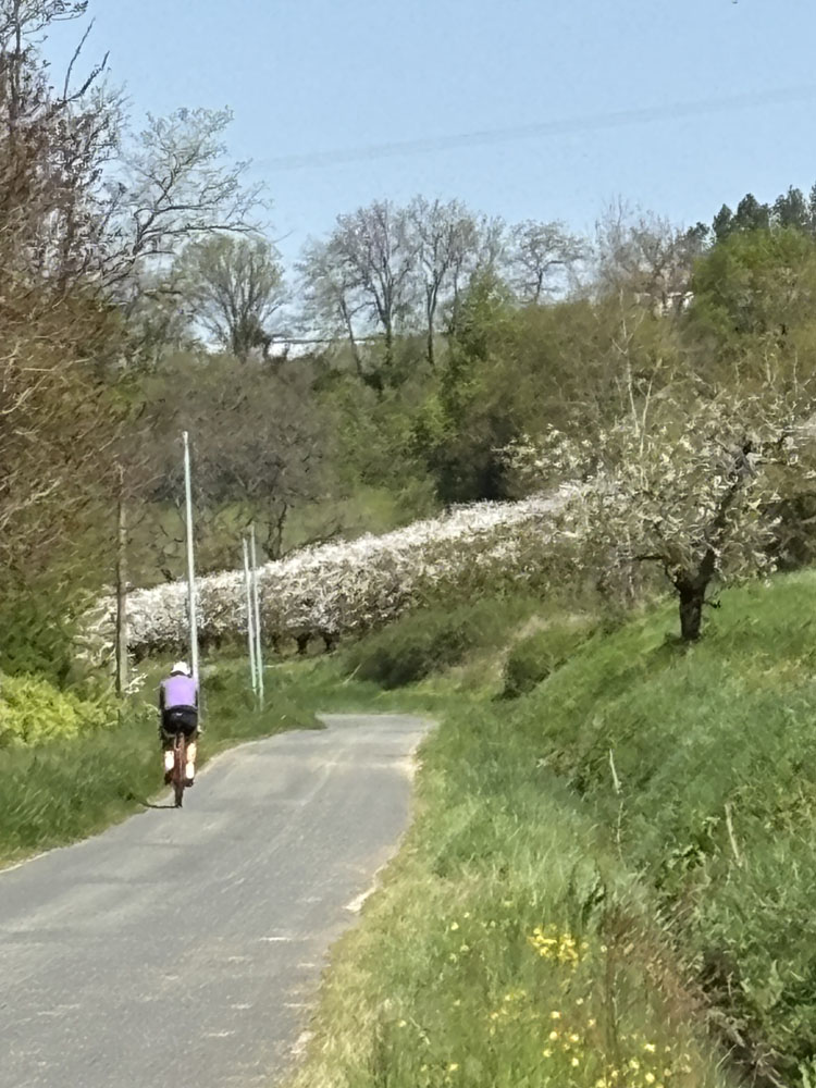 An image of a cyclist in Southwest France.