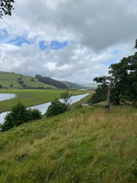 An image of fields in North Yorkshire.